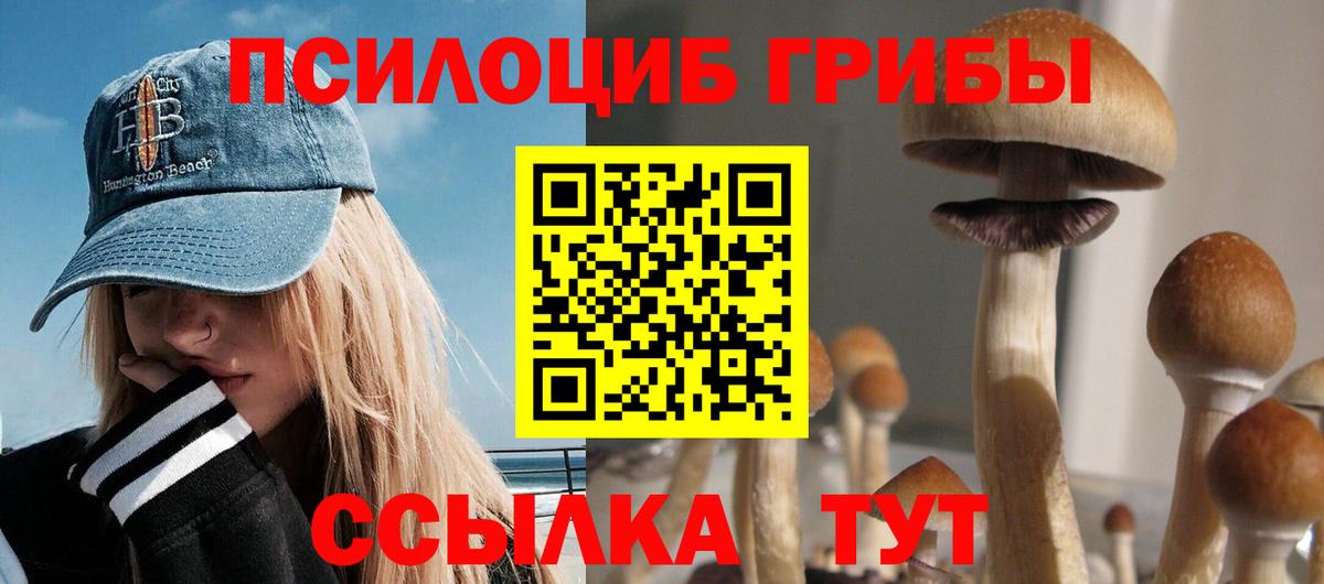 Псилоцибиновые грибы Cubensis Чехов