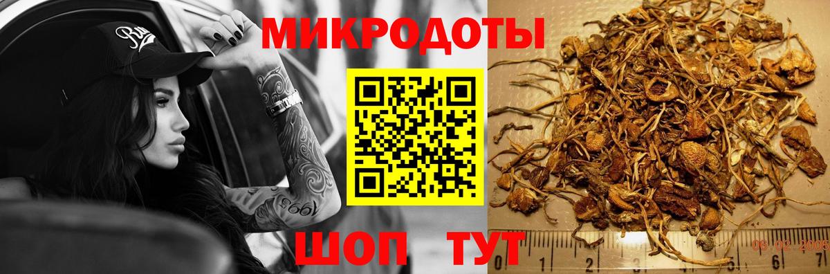 Галлюциногенные грибы Magic Shrooms  Галлюциногенные грибы Psilocybe  Вход с VPN  Чехов 